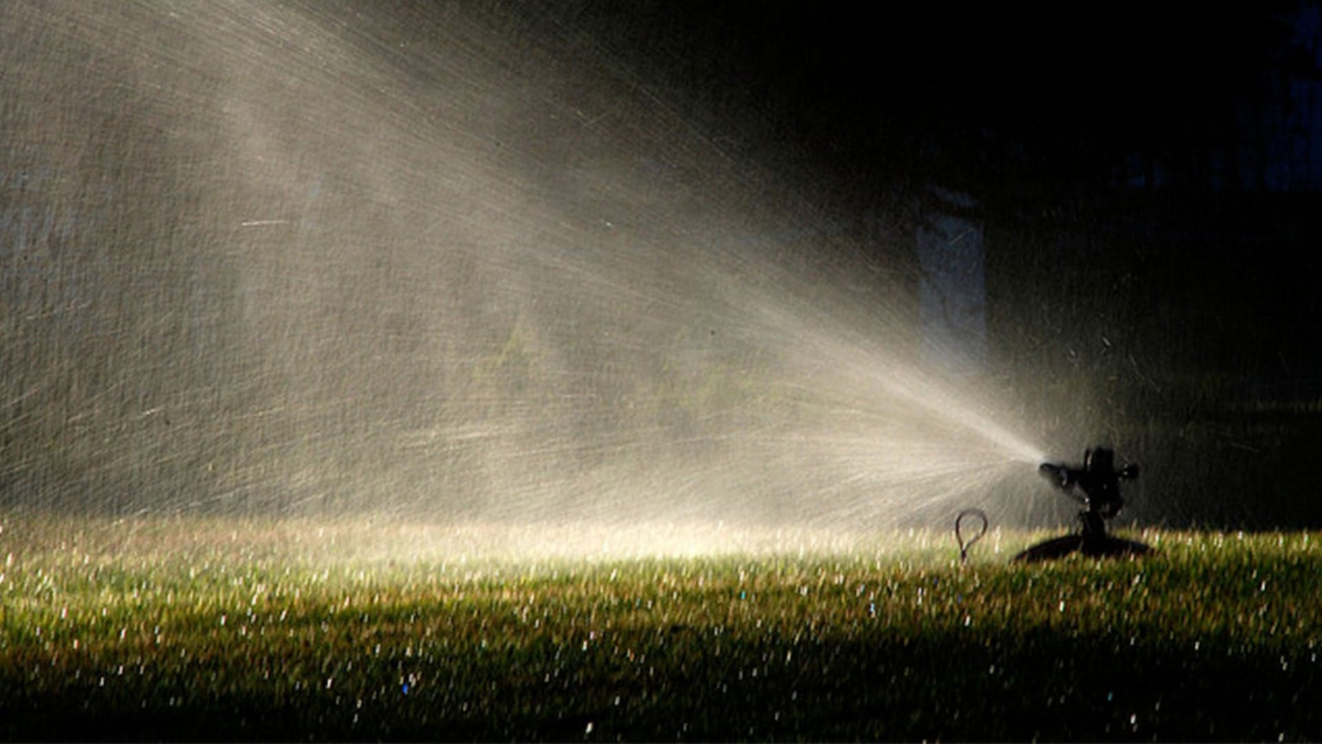 Trusted Expert Drainage Services in Weatherford , TX for Homes &amp; Businesses
